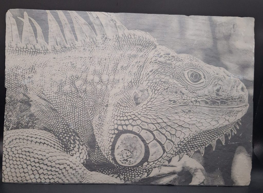 gravure sur ardoise d'un Iguane